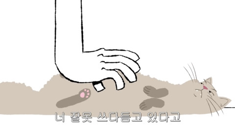 [동물] 고양이의 속마음 | 인스티즈