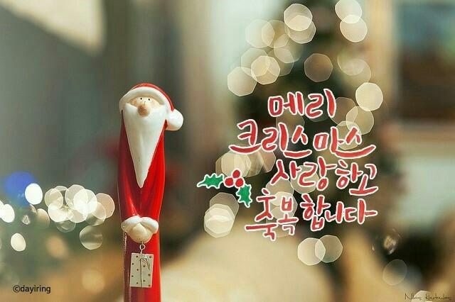 전국매일신문 이미지
