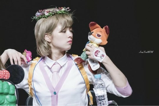 트와이스 정연 | 인스티즈