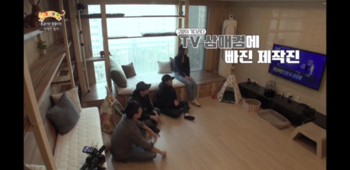 [고양이를부탁해] 세나개 강아지들과 고양이의 차이.jpg | 인스티즈