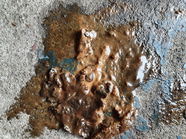 99EA024C5D650F0E1ABF7E