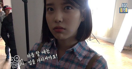 청개구리 아이유.jpg | 인스티즈