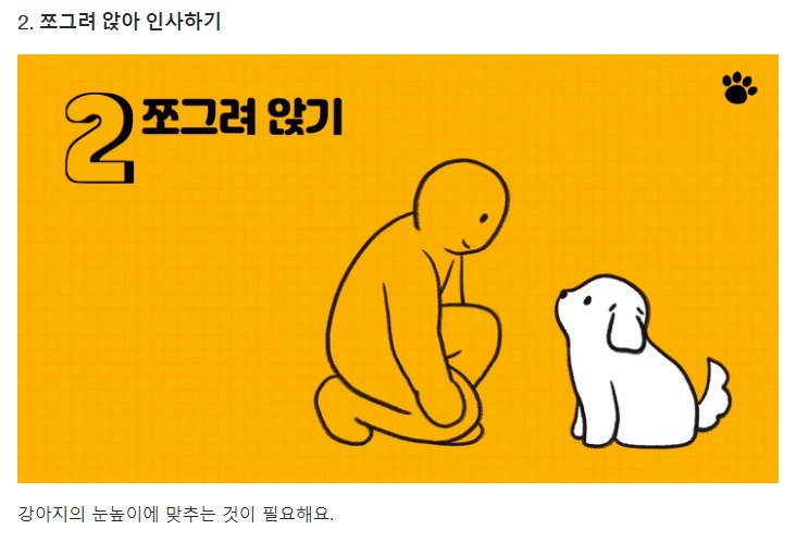 처음 만난 강아지와 인사하는 방법 | 인스티즈