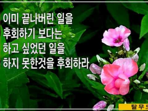 오늘하루 이미지