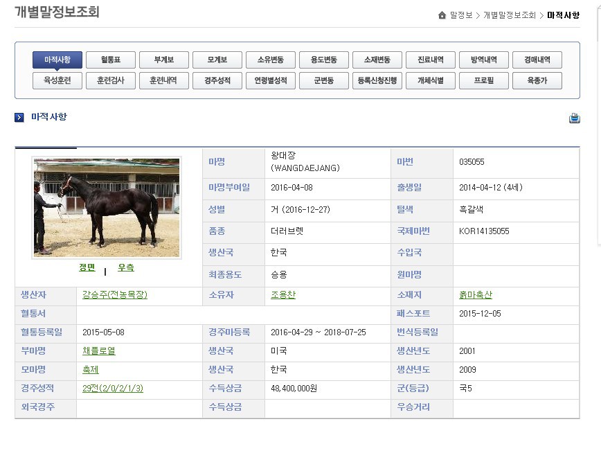 왕대장 이미지