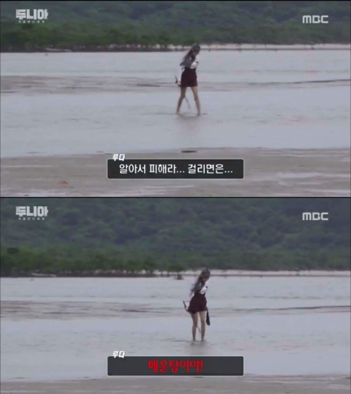 의외의 화법을 지닌 걸그룹 멤버.jpg | 인스티즈