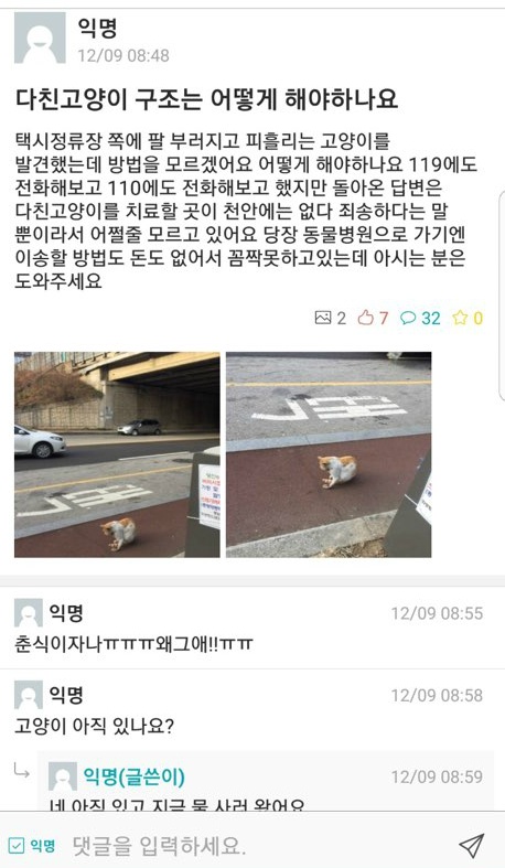 안녕하세요 카페에서 감사한 분들께 교통사고 당한 고양이 치료비 후원받고있는 본인입니다 | 인스티즈