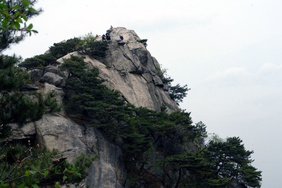 우장산주유소 이미지