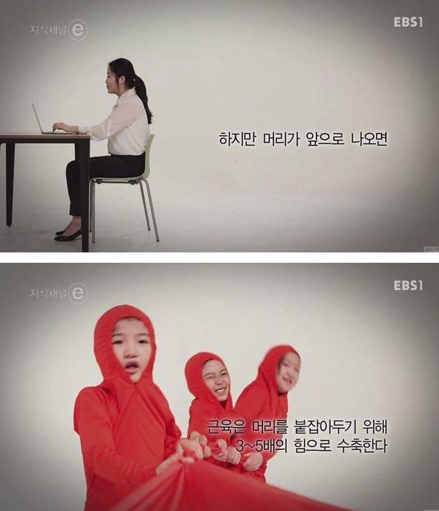 우리의 근육이 바쁜 이유 | 인스티즈