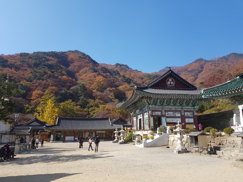 용문사 이미지