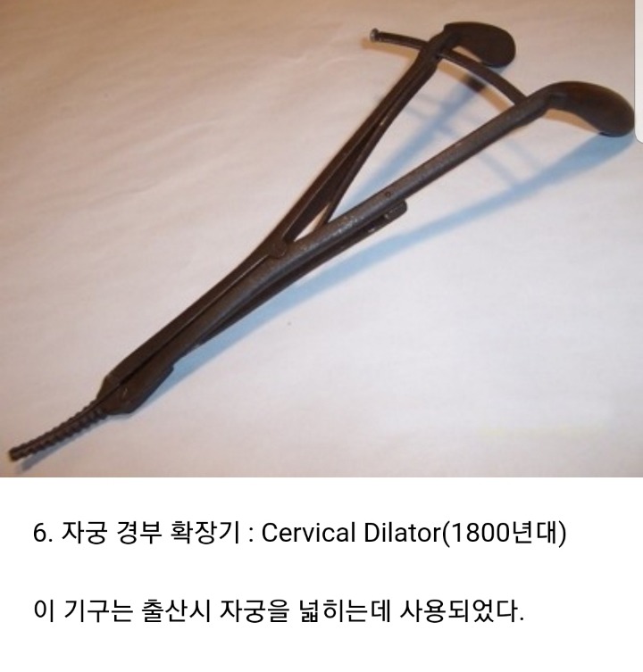 현대에 태어난걸 감사해야 하는 이유 | 인스티즈