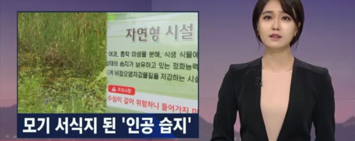 안나경 아나운서 역대급 의상 | 인스티즈
