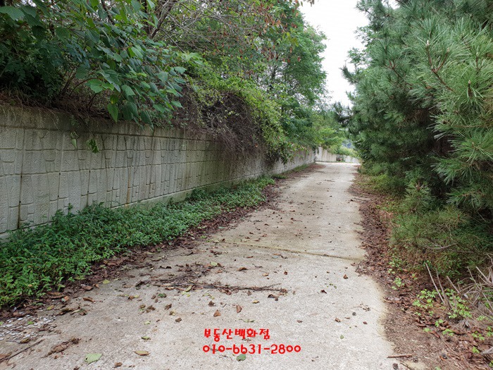 전원주택지로 좋은 일로읍 토지매매 - 무안 - 부동산 백화점 전원주택지로 좋은 일로읍 토지매매